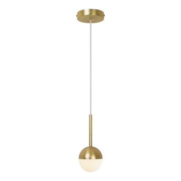 Nordlux - Люстра на тросі CONTINA 1xG9/5W/230V латунь