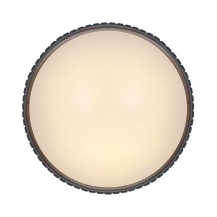 Nordlux - Потолочный светильник CORATO 3xE14/15W/230V, диаметр 52 см