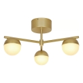 Nordlux - Припотолочная люстра CONTINA 3xG9/5W/230V латунь