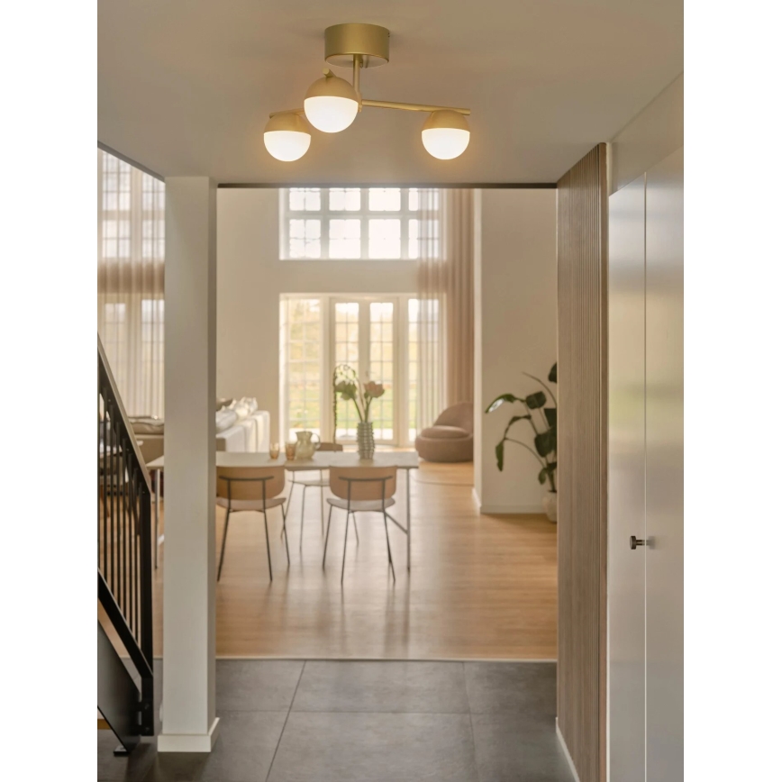 Nordlux - Припотолочная люстра CONTINA 3xG9/5W/230V латунь