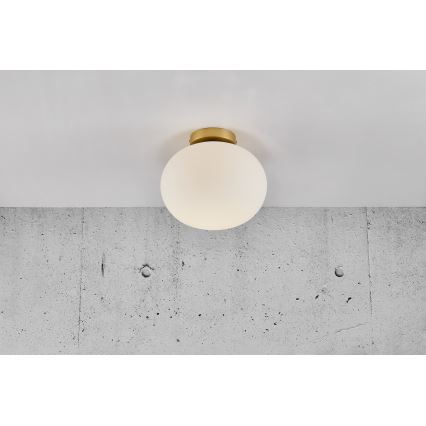 Nordlux - Стельовий світильник ALTON 1xE27/25W/230V