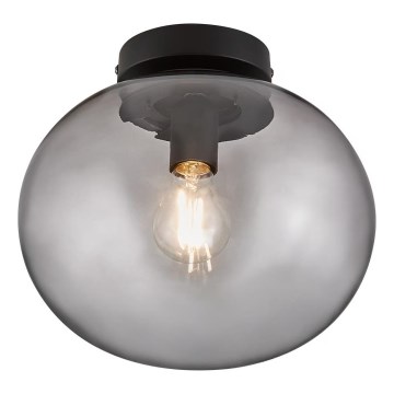 Nordlux - Стельовий світильник ALTON 1xE27/25W/230V