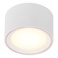 Nordlux - Светодиодный точечный светильник FALLON LED/5,5W/230V белый