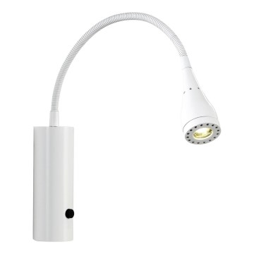 Nordlux - Світлодіодний настінний точковий світильник MENTO LED/3W/230V білий