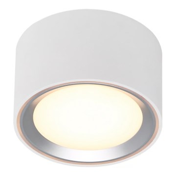 Nordlux - Світлодіодний стельовий світильник з регулюванням яскравості FALLON LED/5,5W/230V 2700K білий