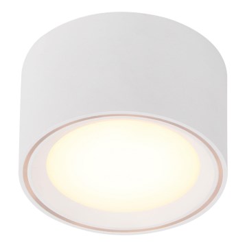 Nordlux - Світлодіодний точковий світильник FALLON LED/5,5W/230V білий