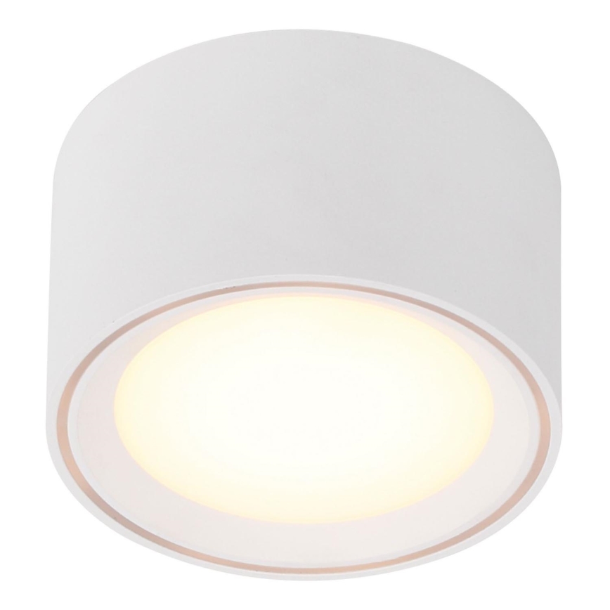 Nordlux - Світлодіодний точковий світильник FALLON LED/5,5W/230V білий