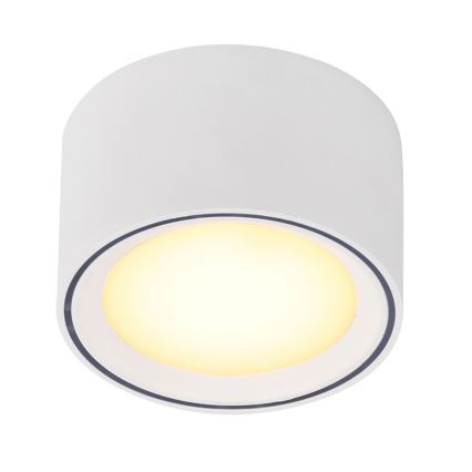 Nordlux - Світлодіодний точковий світильник FALLON LED/5,5W/230V білий