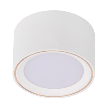 Nordlux - Світлодіодний точковий світильник FALLON LED/5,5W/230V білий