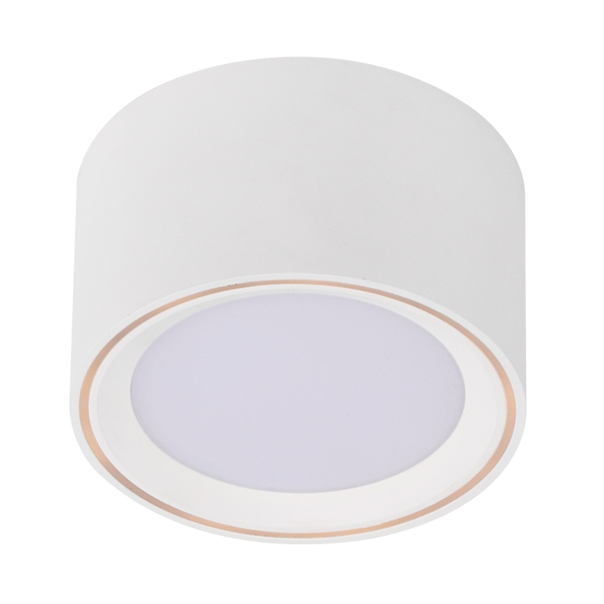 Nordlux - Світлодіодний точковий світильник FALLON LED/5,5W/230V білий
