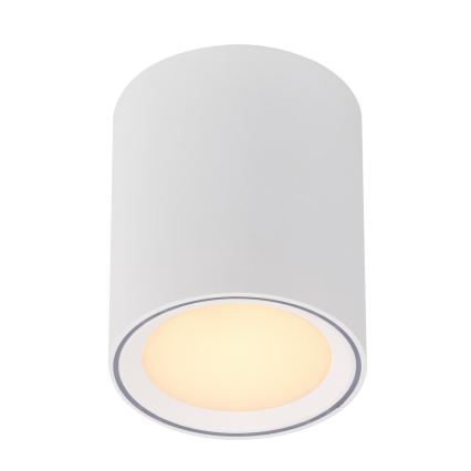 Nordlux - Світлодіодний точковий світильник FALLON LONG LED/5,5W/230V білий