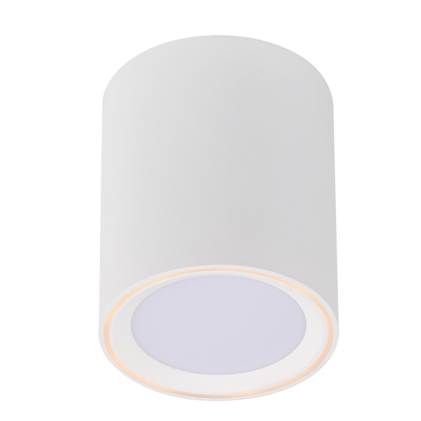 Nordlux - Світлодіодний точковий світильник FALLON LONG LED/5,5W/230V білий