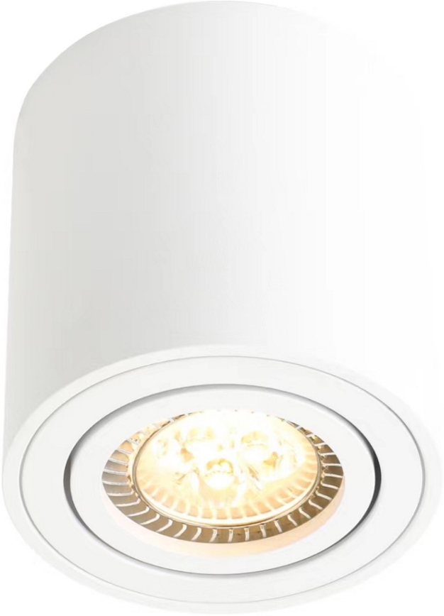 Nordlux - Точковий світильник SABONIS 1xGU10/40W/230V білий