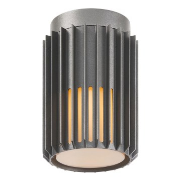 Nordlux - Зовнішній стельовий світильник ALUDRA 1xE27/15W/230V антрацит
