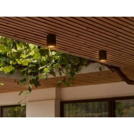 Nordlux - Зовнішній стельовий світильник KYKLOP 1xGU10/15W/230V IP54 чорний