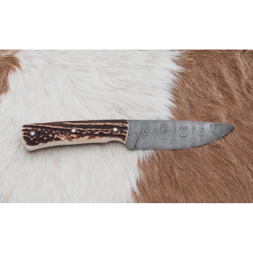 Охотничий нож из дамасской стали 11 см оленьи рога
