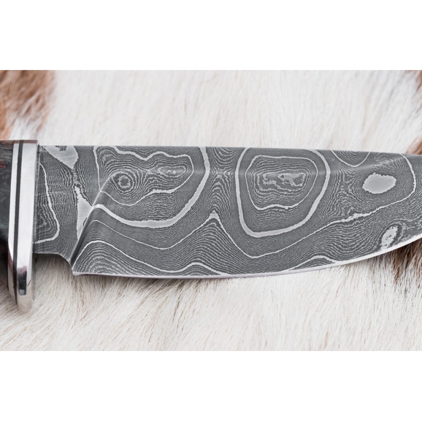 Охотничий нож из дамасской стали 9,7 см орех/клен