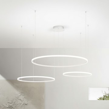 Ondaluce - LED-люстра з регулюванням яскравості на тросі SOEL LED/28W/230V + LED/38W + LED/47W діам. 100/80/60 см біла