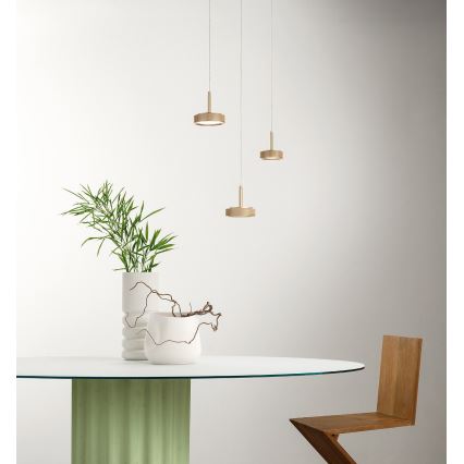Ondaluce - LED-подвесной светильник на тросе NINA LED/20W/230V, диаметр 19 см, золотой