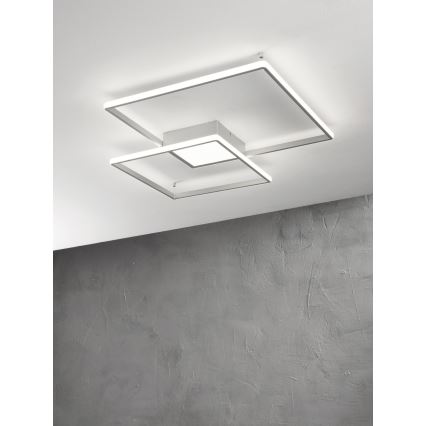 Ondaluce - LED стельовий світильник з регулюванням яскравості DOWEL LED/46W/230V сріблястий
