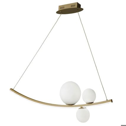 Ondaluce - LED-затемнювана люстра на тросі ALTALENA LED/48W/230V золота/біла
