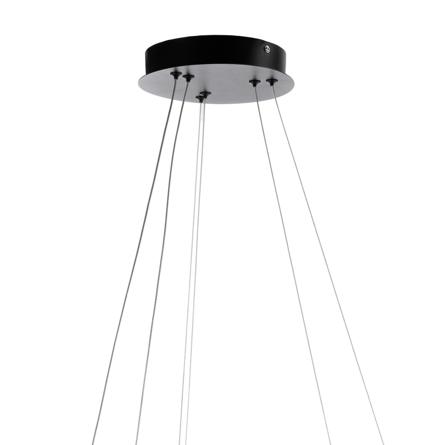 ONLI - LED підвісна люстра на тросі NOELIA LED/30W/230V чорна