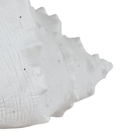ONLI - Настольная лампа PORCELLANA 1xE14/6W/230V, 29 см, в форме ракушки
