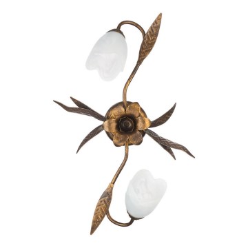 ONLI - Потолочный светильник SONIA 2xE14/6W/230V