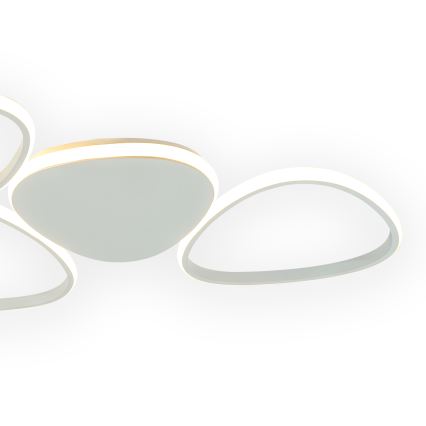 ONLI - Стельовий LED світильник ROMEO LED/48W/230V 4000K білий