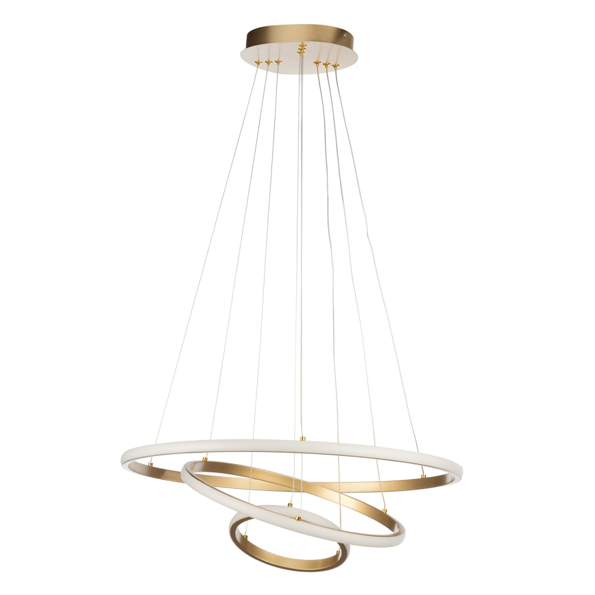 ONLI - светодиодная люстра на тросе NOELIA LED/40W/230V золотая