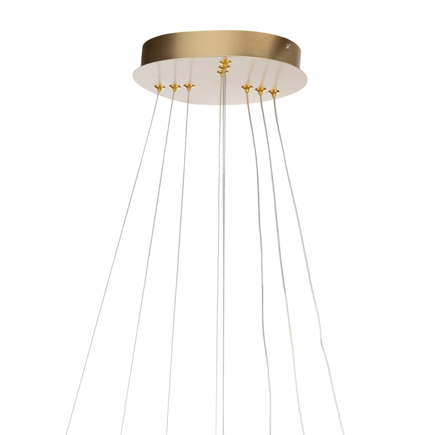 ONLI - светодиодная люстра на тросе NOELIA LED/40W/230V золотая