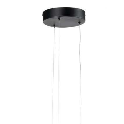 ONLI - Светодиодная подвесная люстра DAFNE LED/30W/230W 4000K черный
