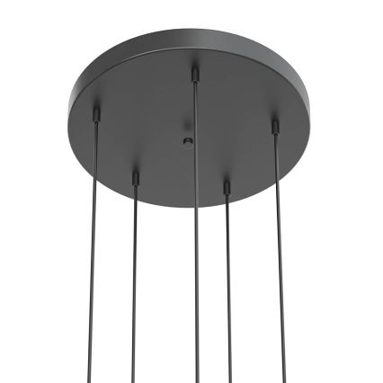 Open Design OR85518 - LED-люстра на тросе BOLICINA 5xLED/5W/230V золотая/чёрная