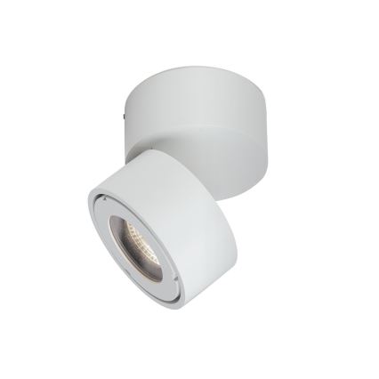 LED Точковий світильник з регулюванням яскравості для ванної кімнати HARVEY LED/15W/230V IP65 білий
