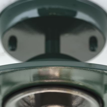 Вулична пристельова люстра EDWARD 1xE27/60W/230V IP44 зелений