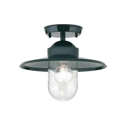 Вулична пристельова люстра EDWARD 1xE27/60W/230V IP44 зелений