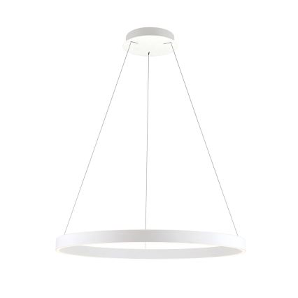 LED диммируемая подвесная люстра на тросе KOLK LED/80W/230V 2700/3000/4000K диам. 80 см белая