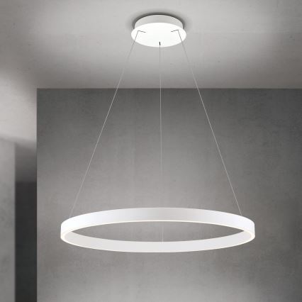 LED диммируемая подвесная люстра на тросе KOLK LED/80W/230V 2700/3000/4000K диам. 80 см белая