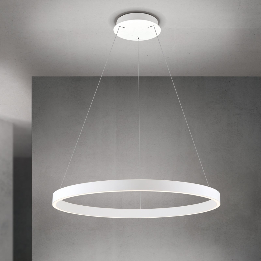 LED диммируемая подвесная люстра на тросе KOLK LED/80W/230V 2700/3000/4000K диам. 80 см белая