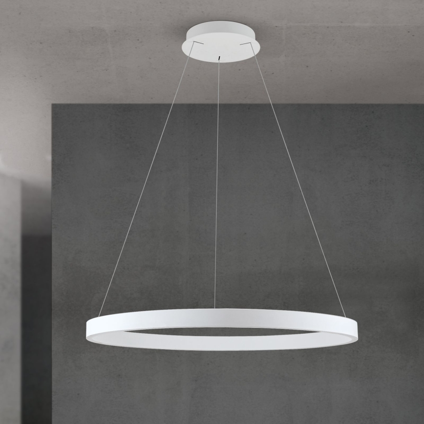 LED диммируемая подвесная люстра на тросе KOLK LED/80W/230V 2700/3000/4000K диам. 80 см белая