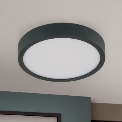 Светодиодный потолочный светильник BULLY LED/12W/230V диаметр 14 см черный