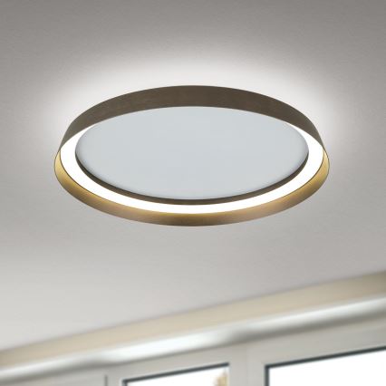 Светодиодный потолочный светильник с регулированием яркости MANTA LED/38W/230V 2700/3000/4000K диаметр 45 см коричневый
