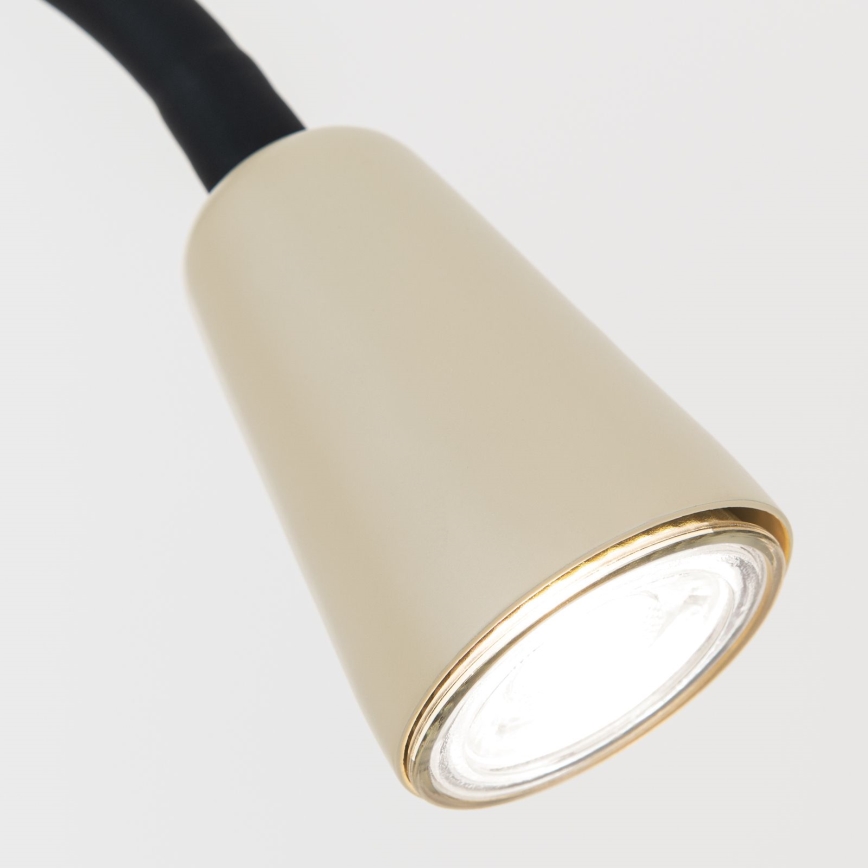 Гибкая настольная лампа с зажимом DOTTY 1xGU10/10W/230V бежевый/чёрный
