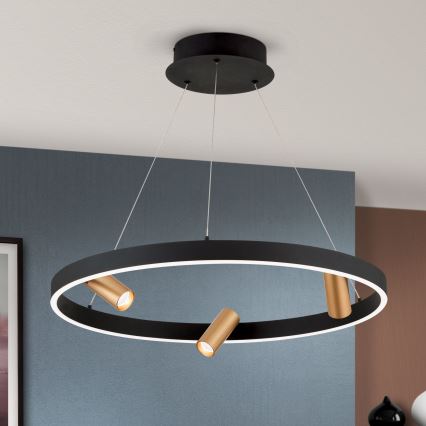 LED люстра з регулюванням яскравості на тросі BERLIN LED/50W/230V чорна/золота