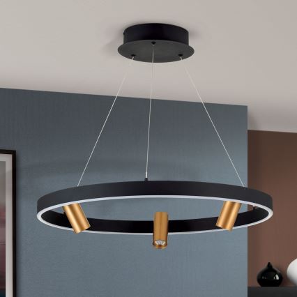 Світлодіодна регульована люстра на тросі BERLIN LED/50W/230V чорний/золотий