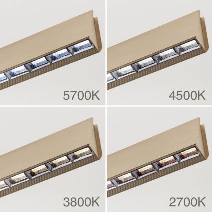 Світлодіодна підвісна люстра з регулюванням яскравості TARA LED/44W/230V 2700/3800/4500/5700K золотий