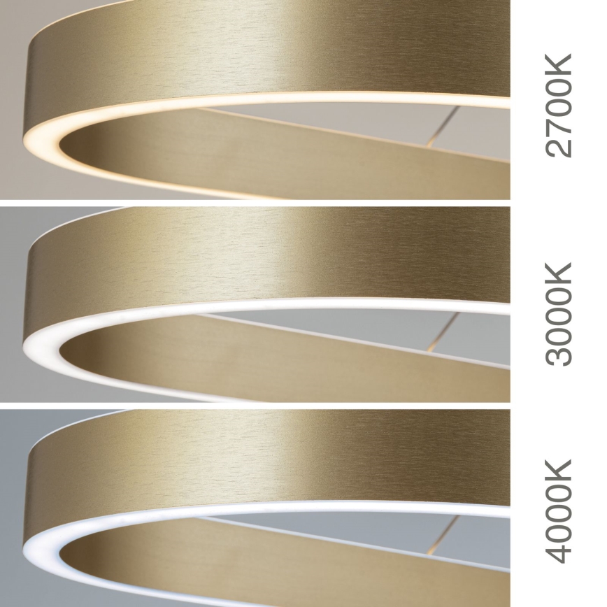 LED-подвесная люстра на тросе CARRARA LED/80W/230V 2700/3000/4000K, золотая