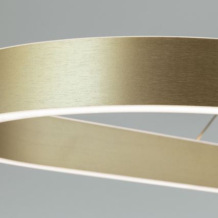 LED люстра на тросі CARRARA LED/80W/230V 2700/3000/4000K золота