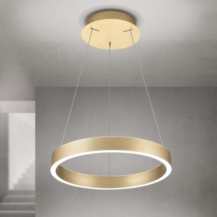 LED-підвісна люстра з регульованою яскравістю на тросі KOLK LED/40W/230V 2700/3000/4000K діаметр 40 см золота