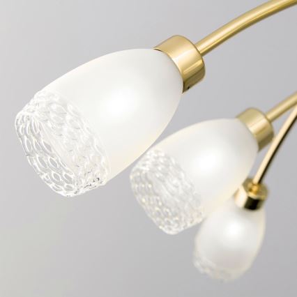 Люстра на штанзі CARLA 8xG9/28W/230V золота